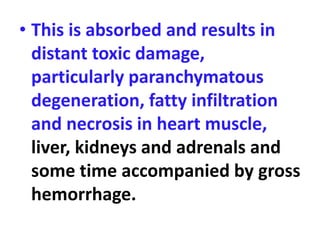 • This is absorbed and results in
distant toxic damage,
particularly paranchymatous
degeneration, fatty infiltration
and necrosis in heart muscle,
liver, kidneys and adrenals and
some time accompanied by gross
hemorrhage.
 