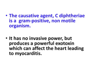 • The causative agent, C diphtheriae
is a gram-positive, non motile
organism.
• It has no invasive power, but
produces a powerful exotoxin
which can affect the heart leading
to myocarditis.
 
