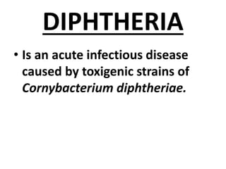 DIPHTHERIA
• Is an acute infectious disease
caused by toxigenic strains of
Cornybacterium diphtheriae.
 