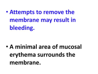 • Attempts to remove the
membrane may result in
bleeding.
• A minimal area of mucosal
erythema surrounds the
membrane.
 