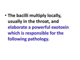 • The bacilli multiply locally,
usually in the throat, and
elaborate a powerful exotoxin
which is responsible for the
following pathology.
 