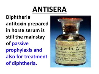 ANTISERA
Diphtheria
antitoxin prepared
in horse serum is
still the mainstay
of passive
prophylaxis and
also for treatment
of diphtheria.
 
