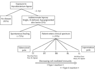 EPIDEMIOLOGY OF LEPROSY | PPTX