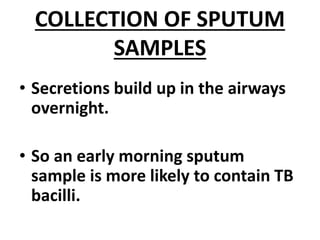 COLLECTION OF SPUTUM
SAMPLES
• Secretions build up in the airways
overnight.
• So an early morning sputum
sample is more likely to contain TB
bacilli.
 