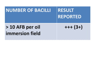 NUMBER OF BACILLI RESULT
REPORTED
> 10 AFB per oil
immersion field
+++ (3+)
 