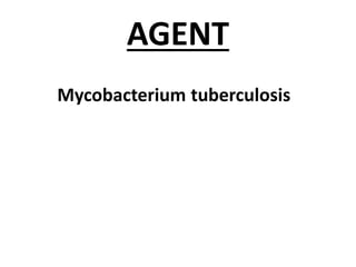 AGENT
Mycobacterium tuberculosis
 