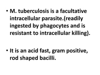 • M. tuberculosis is a facultative
intracellular parasite.(readily
ingested by phagocytes and is
resistant to intracellular killing).
• It is an acid fast, gram positive,
rod shaped bacilli.
 
