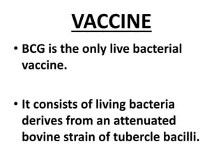 VACCINE
• BCG is the only live bacterial
vaccine.
• It consists of living bacteria
derives from an attenuated
bovine strain of tubercle bacilli.
 