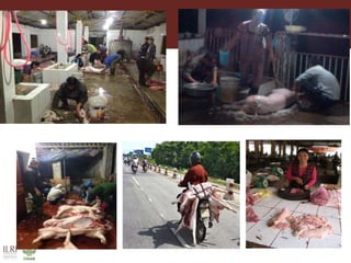 Food safety and antimicrobial resistance research: A One Health perspective