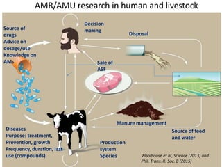 Food safety and antimicrobial resistance research: A One Health perspective