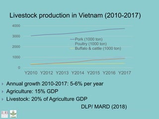 Food safety and antimicrobial resistance research: A One Health perspective