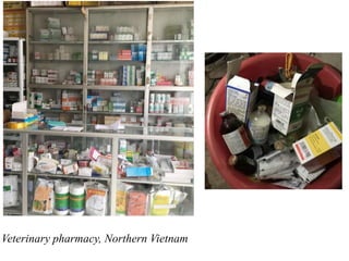 Food safety and antimicrobial resistance research: A One Health perspective