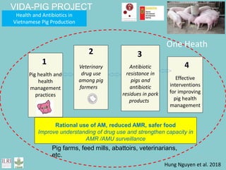 Food safety and antimicrobial resistance research: A One Health perspective