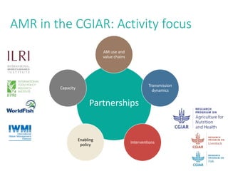 Food safety and antimicrobial resistance research: A One Health perspective