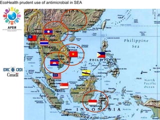 Food safety and antimicrobial resistance research: A One Health perspective