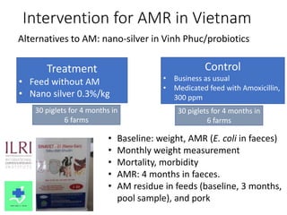 Food safety and antimicrobial resistance research: A One Health perspective