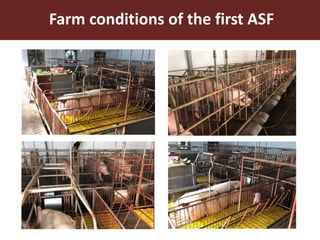 Food safety and antimicrobial resistance research: A One Health perspective