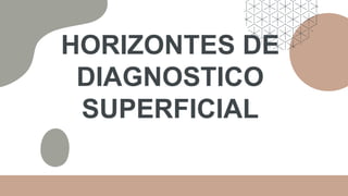 HORIZONTES DE
DIAGNOSTICO
SUPERFICIAL
 