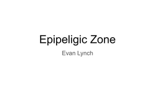 Epipeligic Zone
Evan Lynch
 