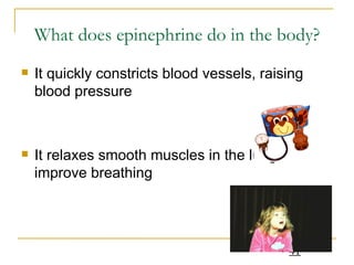 What does epinephrine do in the body? It quickly constricts blood vessels, raising blood pressure It relaxes smooth muscles in the lungs to improve breathing 