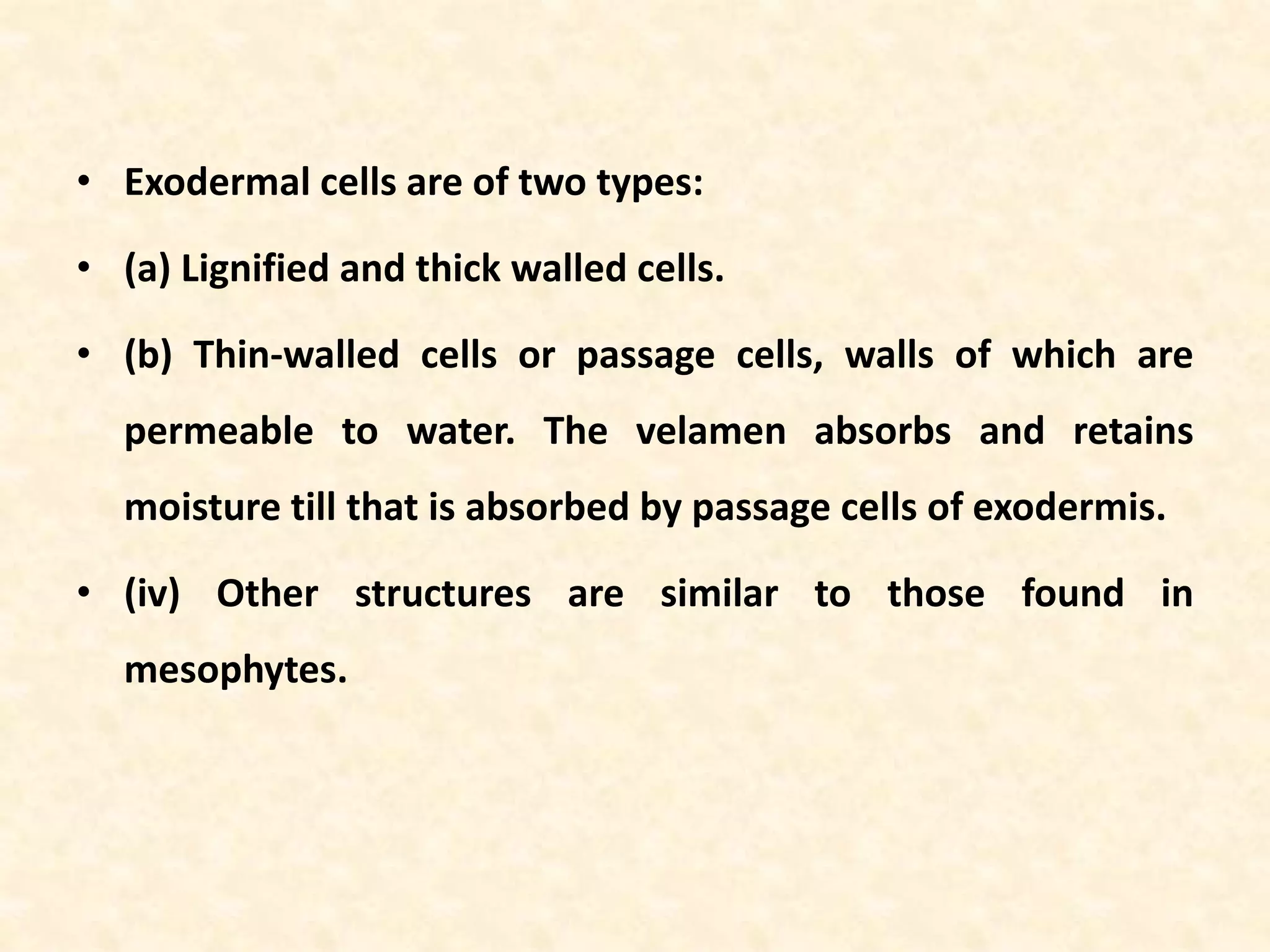 • Exodermal cells are of two types:
• (a) Lignified and thick walled cells.
• (b) Thin-walled cells or passage cells, walls of which are
permeable to water. The velamen absorbs and retains
moisture till that is absorbed by passage cells of exodermis.
• (iv) Other structures are similar to those found in
mesophytes.
 