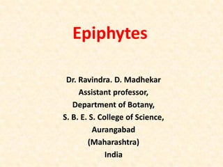 Epiphytes
Dr. Ravindra. D. Madhekar
Assistant professor,
Department of Botany,
S. B. E. S. College of Science,
Aurangabad
(Maharashtra)
India
 
