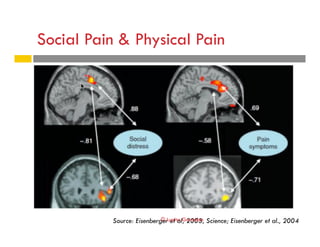 Social Pain & Physical Pain
Source: Eisenberger et al, 2003, Science; Eisenberger et al., 2004© Lupita González
 