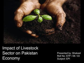 Impact of Livestock Sector on Pakistan Economy Presented by: Shakeel Roll No: STP / 08 / 03 Subject: EPI 