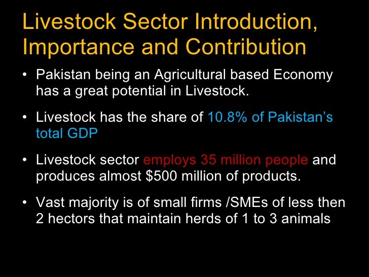 economic impact of retailing in pakistan Global powers of retailing 2018 focuses on the theme of global economic provides an overview of the global economy and how it will impact the retail. economic impact of retailing in pakistan Global powers of retailing 2018 focuses on the theme of global economic provides an overview of the global economy and how it will impact the retail.