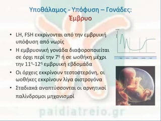 Υποθάλαμος - Υπόφυση – Γονάδες:
Έμβρυο
• LH, FSH εκκρίνονται από την εμβρυική
υπόφυση από νωρίς
• Η εμβρυονική γονάδα διαφ...