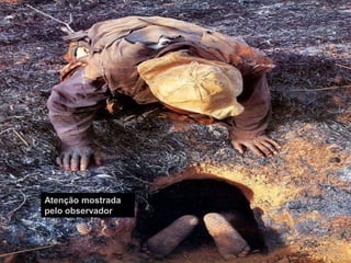 DOW RESTRICTED - For internal use onlyAtençãomostradapeloobservador