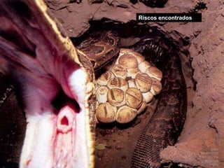 DOW RESTRICTED - For internal use onlyRiscos encontrados