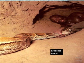 DOW RESTRICTED - For internal use onlyEPI sendo usado