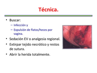 Técnica.
• Buscar:
   – Infección y
   – Expulsión de flatos/heces por
     vagina.
• Sedación EV o analgesia regional.
• Extirpar tejido necrótico y restos
  de sutura.
• Abrir la herida totalmente.
 