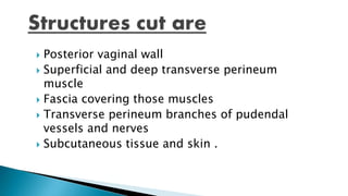 Posterior vaginal wall
 Superficial and deep transverse perineum
muscle
 Fascia covering those muscles
 Transverse perineum branches of pudendal
vessels and nerves
 Subcutaneous tissue and skin .
 