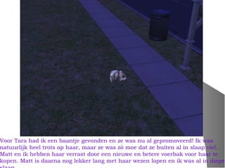Voor Tara had ik een baantje gevonden en ze was nu al gepromoveerd! Ik was
natuurlijk heel trots op haar, maar ze was zó moe dat ze buiten al in slaap viel.
Matt en ik hebben haar verrast door een nieuwe en betere voerbak voor haar te
kopen. Matt is daarna nog lekker lang met haar wezen lopen en ik was al in diepe
 