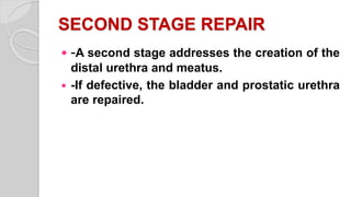 SECOND STAGE REPAIR
 -A second stage addresses the creation of the
distal urethra and meatus.
 -If defective, the bladder and prostatic urethra
are repaired.
 
