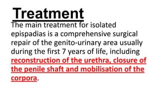 Treatment

The main treatment for isolated
epispadias is a comprehensive surgical
repair of the genito-urinary area usually
during the first 7 years of life, including
reconstruction of the urethra, closure of
the penile shaft and mobilisation of the
corpora.

 