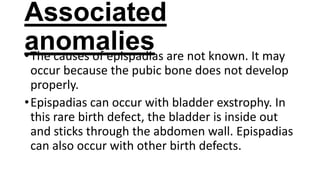 Associated
anomalies are not known. It may
• The causes of epispadias
occur because the pubic bone does not develop
properly.
• Epispadias can occur with bladder exstrophy. In
this rare birth defect, the bladder is inside out
and sticks through the abdomen wall. Epispadias
can also occur with other birth defects.

 