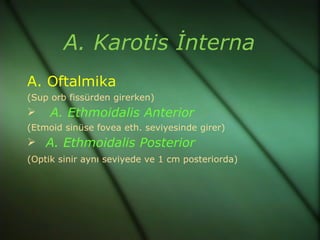 A. Karotis İnterna
A. Oftalmika
(Sup orb fissürden girerken)
    A. Ethmoidalis Anterior
(Etmoid sinüse fovea eth. seviyesinde girer)
 A. Ethmoidalis Posterior
(Optik sinir aynı seviyede ve 1 cm posteriorda)
 