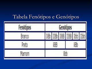 Tabela Fenótipos e Genótipos 