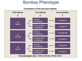 Bombay Phenotype
 