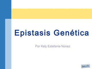 Epistasis Genética 
Por Kely Estefania Núnez 
 