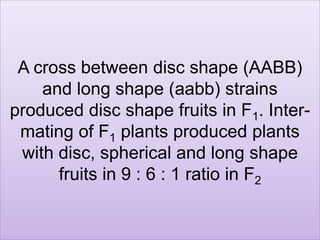 A cross between disc shape (AABB)
and long shape (aabb) strains
produced disc shape fruits in F1. Inter-
mating of F1 plants produced plants
with disc, spherical and long shape
fruits in 9 : 6 : 1 ratio in F2
 