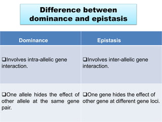 Difference between
dominance and epistasis
Dominance Epistasis
Involves intra-allelic gene
interaction.
Involves inter-allelic gene
interaction.
One allele hides the effect of
other allele at the same gene
pair.
One gene hides the effect of
other gene at different gene loci.
 