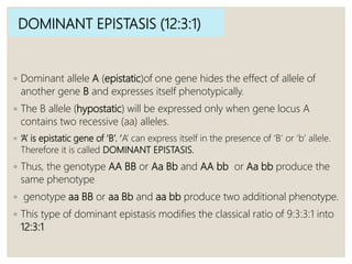 DOMINANT EPISTASIS (12:3:1)
◦ Dominant allele A (epistatic)of one gene hides the effect of allele of
another gene B and expresses itself phenotypically.
◦ The B allele (hypostatic) will be expressed only when gene locus A
contains two recessive (aa) alleles.
◦ ‘A’ is epistatic gene of ‘B’. ‘A’ can express itself in the presence of ‘B’ or ‘b’ allele.
Therefore it is called DOMINANT EPISTASIS.
◦ Thus, the genotype AA BB or Aa Bb and AA bb or Aa bb produce the
same phenotype
◦ genotype aa BB or aa Bb and aa bb produce two additional phenotype.
◦ This type of dominant epistasis modifies the classical ratio of 9:3:3:1 into
12:3:1
 