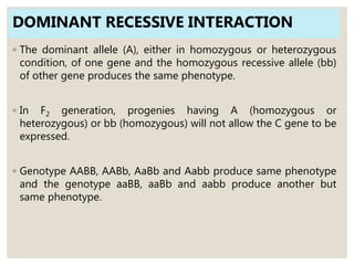 DOMINANT RECESSIVE INTERACTION
◦ The dominant allele (A), either in homozygous or heterozygous
condition, of one gene and the homozygous recessive allele (bb)
of other gene produces the same phenotype.
◦ In F2 generation, progenies having A (homozygous or
heterozygous) or bb (homozygous) will not allow the C gene to be
expressed.
◦ Genotype AABB, AABb, AaBb and Aabb produce same phenotype
and the genotype aaBB, aaBb and aabb produce another but
same phenotype.
 