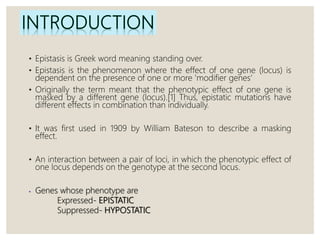 • Epistasis is Greek word meaning standing over.
• Epistasis is the phenomenon where the effect of one gene (locus) is
dependent on the presence of one or more 'modifier genes‘
• Originally the term meant that the phenotypic effect of one gene is
masked by a different gene (locus).[1] Thus, epistatic mutations have
different effects in combination than individually.
• It was first used in 1909 by William Bateson to describe a masking
effect.
• An interaction between a pair of loci, in which the phenotypic effect of
one locus depends on the genotype at the second locus.
• Genes whose phenotype are
Expressed- EPISTATIC
Suppressed- HYPOSTATIC
 