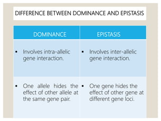 DIFFERENCE BETWEEN DOMINANCE AND EPISTASIS
DOMINANCE EPISTASIS
 Involves intra-allelic
gene interaction.
 Involves inter-allelic
gene interaction.
 One allele hides the
effect of other allele at
the same gene pair.
 One gene hides the
effect of other gene at
different gene loci.
 