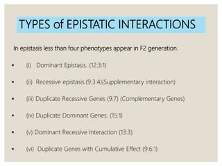 TYPES of EPISTATIC INTERACTIONS
In epistasis less than four phenotypes appear in F2 generation.
 (і) Dominant Epistasis. (12:3:1)
 (ii) Recessive epistasis.(9:3:4)(Supplementary interaction)
 (iii) Duplicate Recessive Genes (9:7) (Complementary Genes)
 (iv) Duplicate Dominant Genes. (15:1)
 (v) Dominant Recessive Interaction (13:3)
 (vi) Duplicate Genes with Cumulative Effect (9:6:1)
 